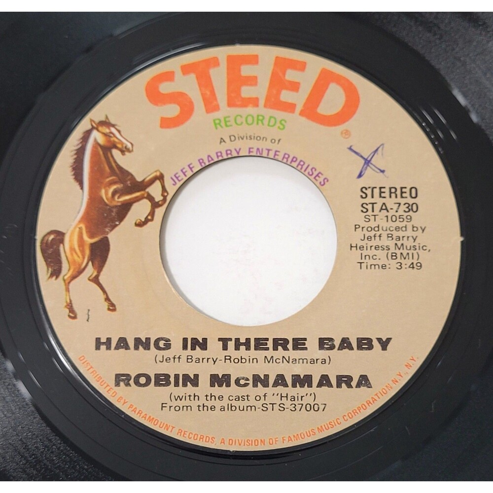 Robin McNamara Hang In There Baby / Together, Forever 45 RPM Steed VG Rock '70